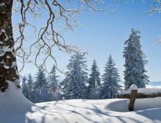 中国电竞战队EDG夺得全球总决賽(sài)冠军