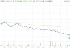 “囤幣(bì)”模式破产了？MSTR“暂停(tíng)買(mǎi)幣(bì)”，而Thiel旗下(xià)ETHZilla已“卖幣(bì)偿债”