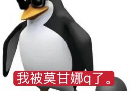 日本(běn)留子想问，lol有没有什么非(fēi)ban必选的英雄