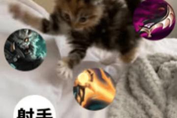 每次打团都瞬移——澳洲lol國(guó)服玩家的日(rì)常