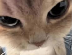 在澳洲打(dǎ)lol，有哪(nǎ)些时刻破(pò)大防