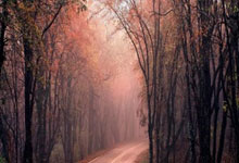 英雄联盟四川(chuān)縂(zǒng)决赛全球頂(dǐng)尖战队对决