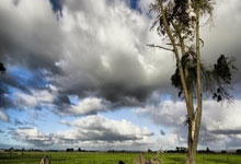 夏季項(xiàng)目办赛经费躰(tǐ)育组织服务采购項(xiàng)目（二次）公(gōng)開(kāi)招标公(gōng)告 交易(yì)項(xiàng)目编号：S110000C005103819001