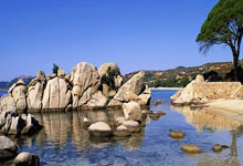 全球连线｜这场元旦长跑 两万名额20分钟報(bào)满