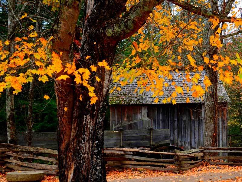 英雄联盟全球总决赛冠亚军决赛四川打響(xiǎng)