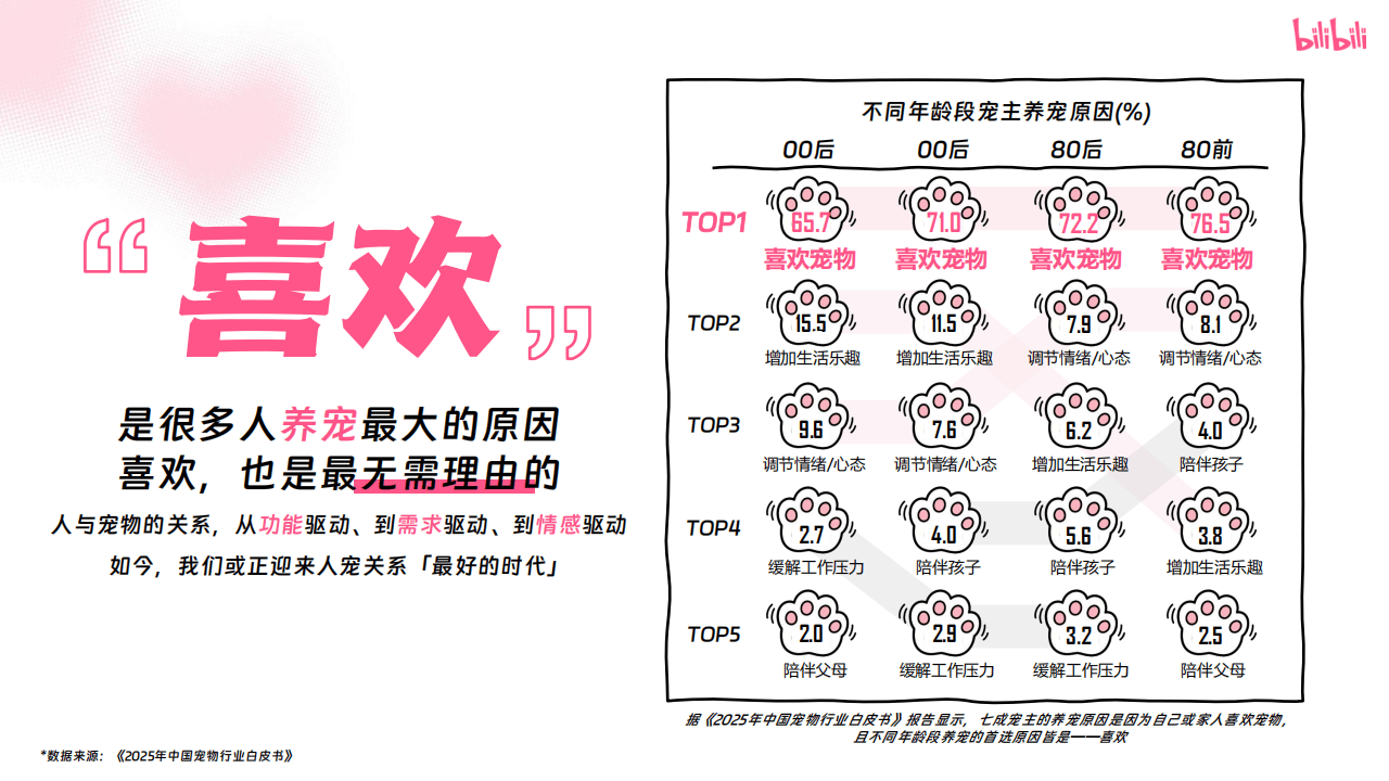 嗶(bì)哩(lī)嗶(bì)哩(lī)运營(yíng)：嗶(bì)哩(lī)嗶(bì)哩(lī)2025年宠物行业營(yíng)销通案