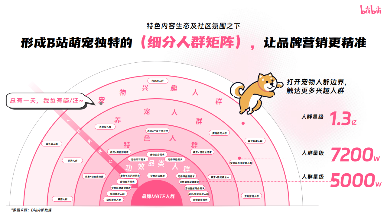 嗶(bì)哩(lī)嗶(bì)哩(lī)运營(yíng)：嗶(bì)哩(lī)嗶(bì)哩(lī)2025年宠物行业營(yíng)销通案