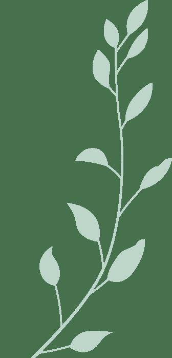 見(jiàn)面会精彩集锦新鲜出爐(lú)！