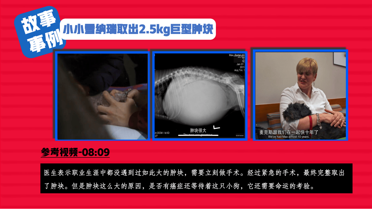 嗶(bì)哩嗶(bì)哩运营：嗶(bì)哩嗶(bì)哩纪录片《深(shēn)夜宠物急诊室》招商方案(1)