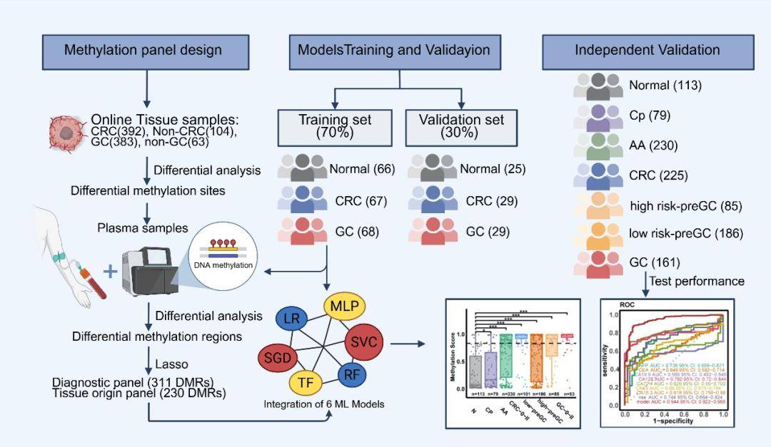 一管血筛兩(liǎng)癌！北京胸科(kē)医院科(kē)研团队领衔研发SPOGIT模型，提升胃肠早癌及(jí)癌前病变检出率